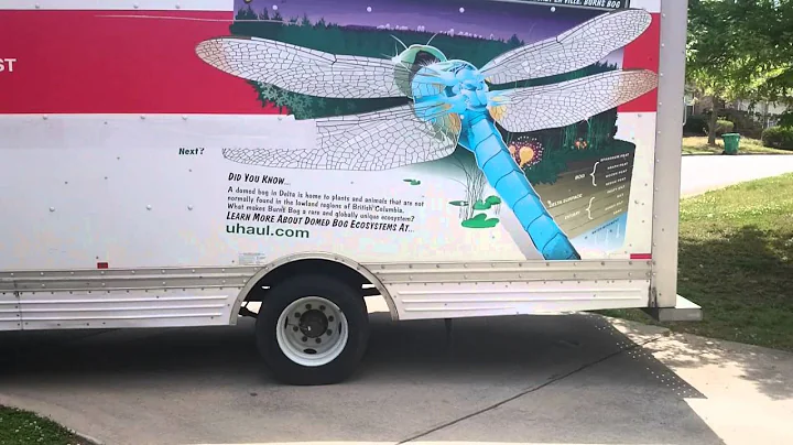 Mom driving a U-haul part 1 Joyce Petty