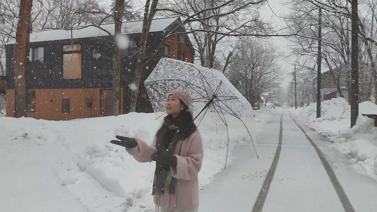 Glorious mid-March knee-deep powder at Hakuba