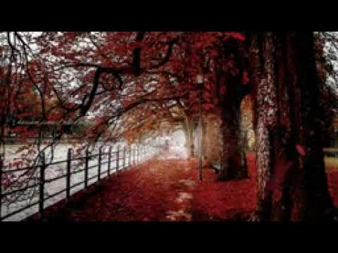 موسيقى هادئة فصل الخريف حالات واتس اب 