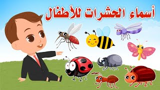 تعليم أسماء الحشرات للأطفال باللغة العربية على قناة تعلم ـ تعليم الأطفال ـ Insect names for kids