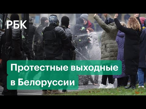 На протестах в Белоруссии задержано более 500 человек