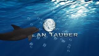 Dylan Tauber Dolphin Intro