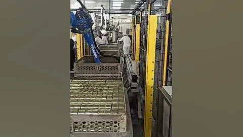 Gizelis Robotics | ROBOCAN Case Study | Robotic Palletizing & Depalletizing Cells