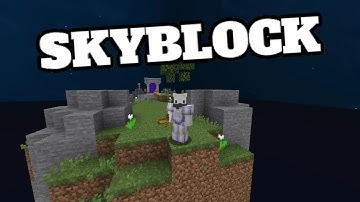 I Survived My First Day In Hypixel Skyblock