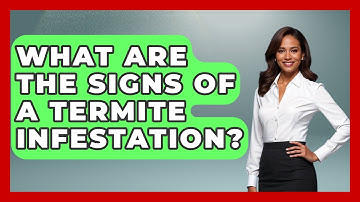 What Are The Signs Of A Termite Infestation? - Insects and Invaders