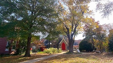 Lessons & Carols (The Second Sunday of Advent)