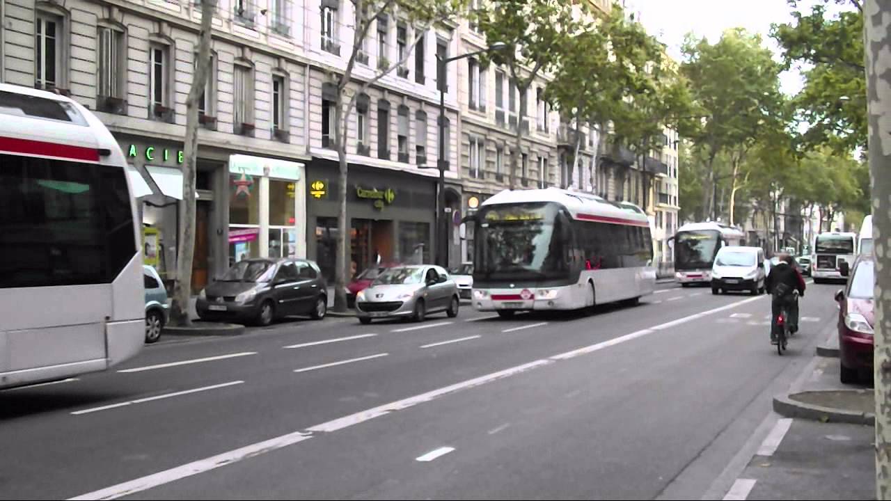 Des Citelis et des Cristalis à Saxe-Gambetta