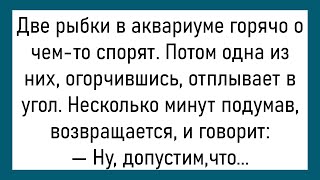 💎Сидят Двое На Рыбалке... Мужик Большой Сборник Весёлых Анекдотов,Для Супер Настроения!