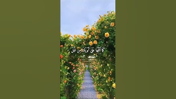 واتس اب قران كريم القارئ عمر الدريويز من سورة (يوسف)
