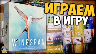 Крылья | Wingspan | Играем в игру