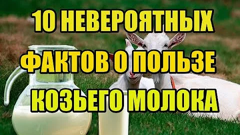 10 ПРИЧИН ПОЧЕМУ КОЗЬЕ МОЛОКО ПОЛЕЗНЕЕ КОРОВЬЕГО