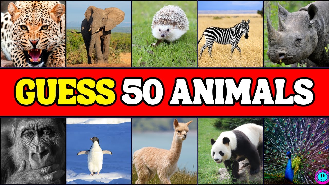Guess The Animal In 3 Seconds 🦄🦁 Animals Fun Quiz Challenge - YouTube
