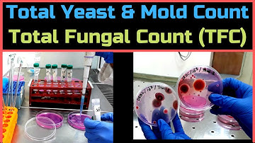 Total Yeast & Mold Count (Total Fungal Count)_A Complete Procedure (BAM, Ch-18)
