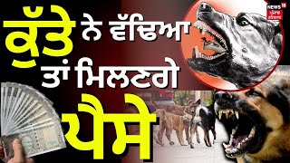 Punjab High Court on Dog Bite | ਕੁੱਤੇ ਦੇ ਵੱਢਣ ਤੇ ਮਿਲਣਗੇ ਪੈਸੇ | Stray Dog Bite | News18 Punjab Live