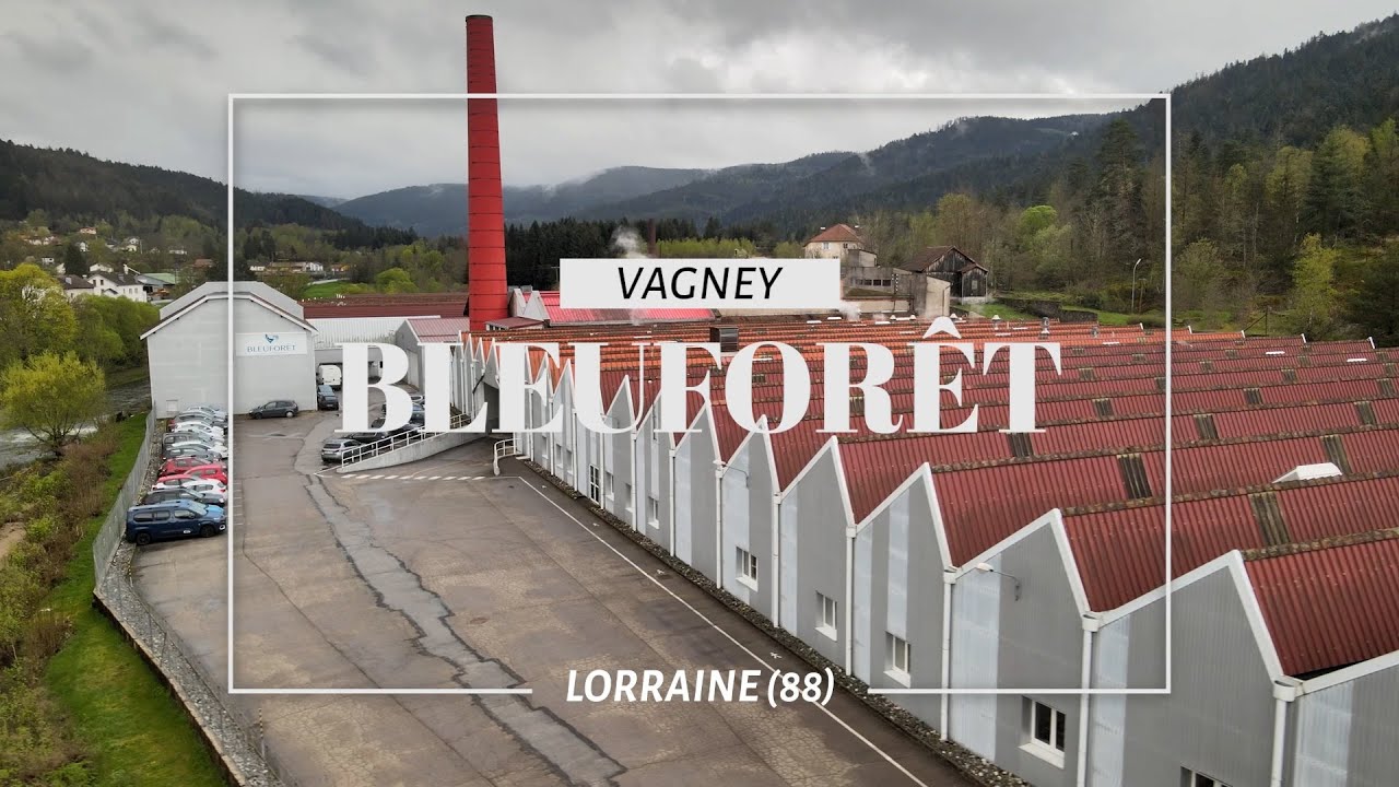 Bleuforêt - Ici en Région