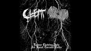 Glemt/Calling of Phasmic Presence - Larvae Chewing Into Ice Burnt Carcass Folds (2024) - 𝘚𝘱𝘭𝘪𝘵