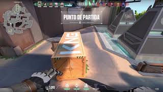 Valo con el real BURRO