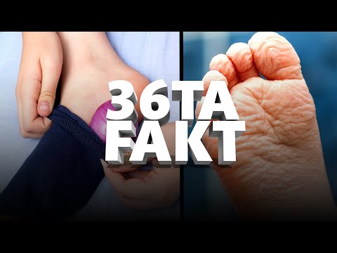 Inson Tanasi Haqida Hayratlanarli 36 Fakt