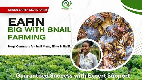Greenhouse snail farming in Ghana
