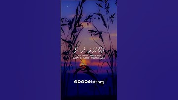 وقل رب إرحمهما كما ربياني صغيرا |سورة الإسراء | ممدوح عماد