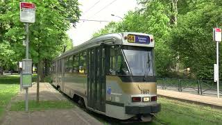 Neem de bostram ! Prenez le tram de la forêt !