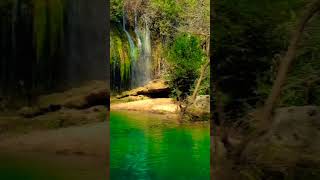 Cascade Beautiful Waterfall | Forest Lullaby | Relaxing Music | Relaxing Video #shortvideo #shorts