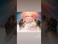 خليك مقابلني مسلم 
