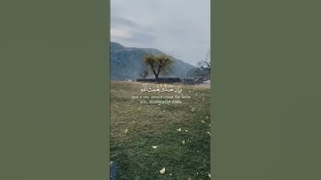 القارئ احمد النفيس