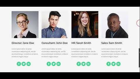 About Team – Siteorigin Layouts widgets and addons