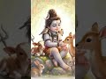 shivabhakti #yt #viral #ytshorts #viralshorts #shortsvideo #shorts #shiv #shivshankar #trending