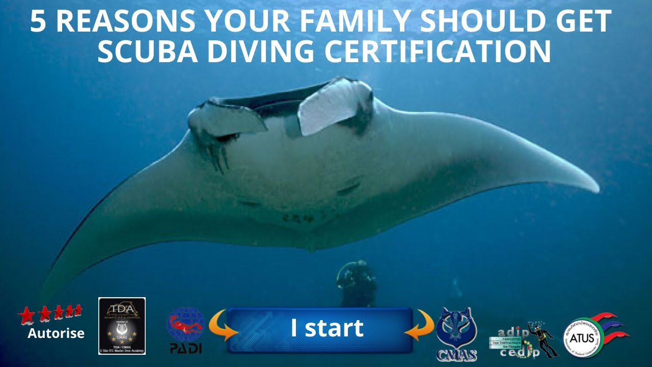 🤿5 Reasons why Your Family Should Get #Scuba Diving Certification with ...