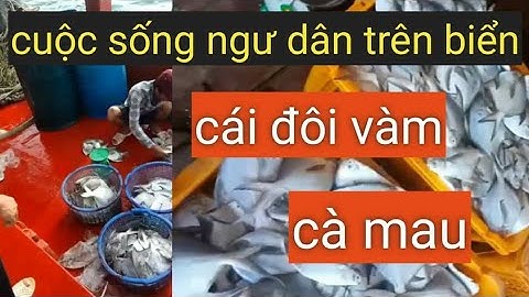 cuộc sống ngư dân trên biển  cái đôi vàm  phú tân cà mau