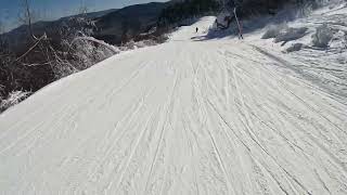 The Wilmington Trail (More Difficult) - Whiteface NY
