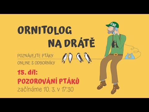 Video: Pozorování Ptáků V Kolumbii: Kam Jít, Co Vidět