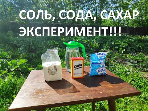 Соль, сода, сахар эксперимент!!!