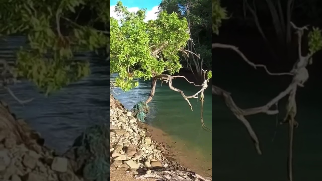 Otto sieht Krokodil 🤏🏾🙈