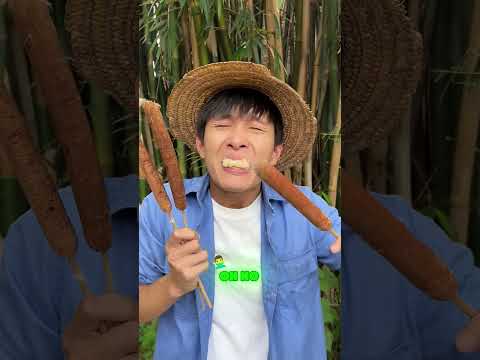 Damn It Got Tricked Again Does Anyone Know What On Earth This Thing Is Funny