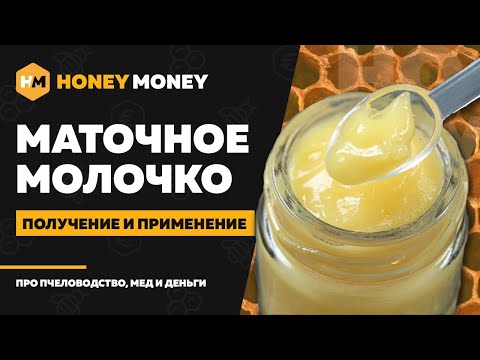 Маточное молочко: как добывать и хранить? Польза и свойства маточного молочка