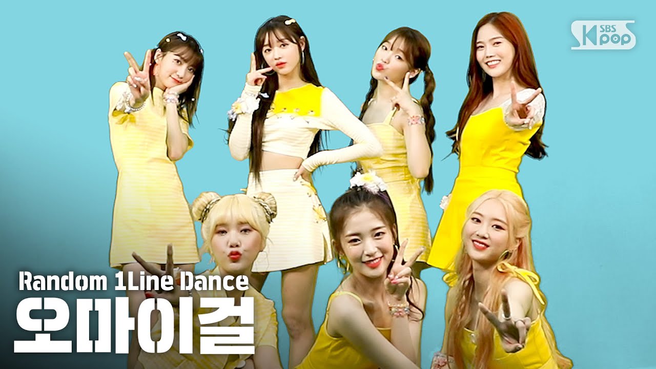 [랜덤1열댄스] RANDOM 1LINE DANCE 오마이걸 (OH MY GIRL)