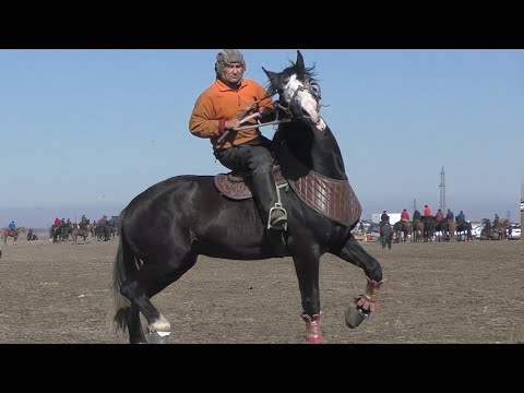 Video: Океан агымдары кандайча пайда болот