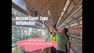 Layer Cage Equipment Installation | Real Poultry Farm Project | Qingdao Heyuan Machinery
