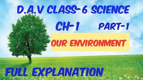 Our Environment DAV Class 6 Science Chapter 1|Full Explanation In Hindi||ADARSH 999
