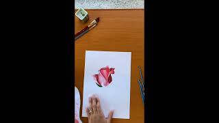 Trandafir Pictat In Ulei