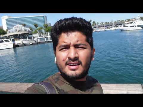 Video: Aquarium of the Pacific - Panduan ke Akuarium Long Beach