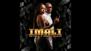 Mr Thela – iMali ft. Nobantu Vilakazi  (  Audio) 2023