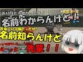 【ゆっくり実況】妖夢ナインは甲子園の夢を見る【栄冠ナイン】