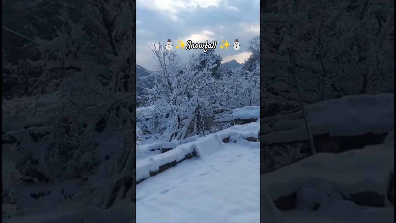 beautiful valley 😍 ❣️ snowfall ⛄🌨️✨2026 #nature  #viral #shorts #ytshorts #snow  #trendingsong