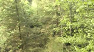 Tree Top Canopy Tour