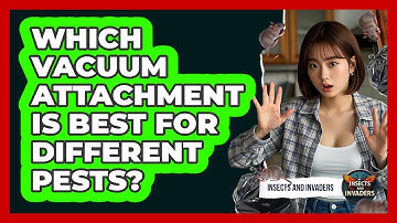 Which Vacuum Attachment Is Best For Different Pests? - Insects and Invaders