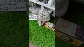Какая Я в Его глазах??